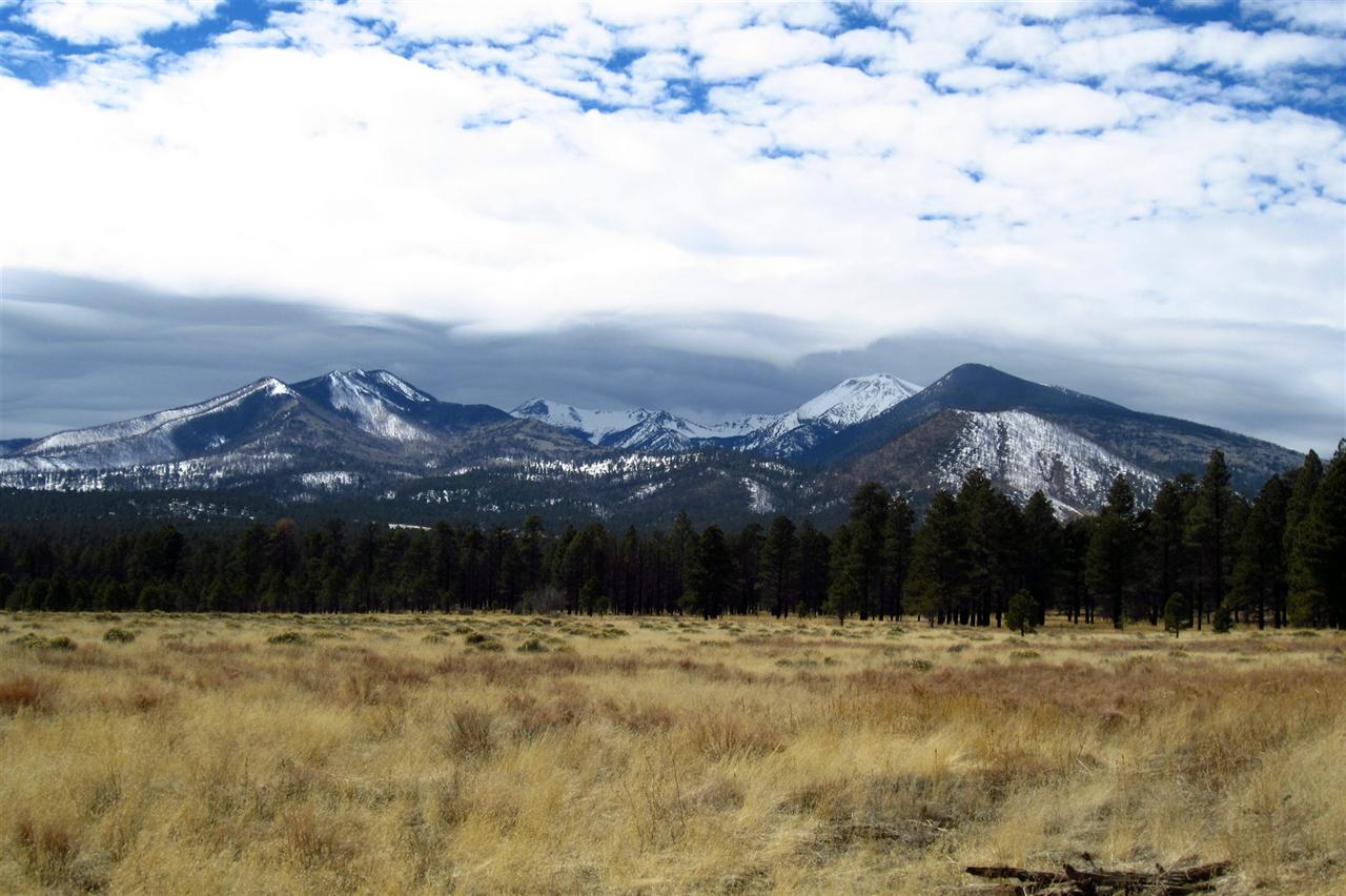 Snow-capped San Francisco Peaks rising above ponderosa pine forest near Flagstaff, Arizona