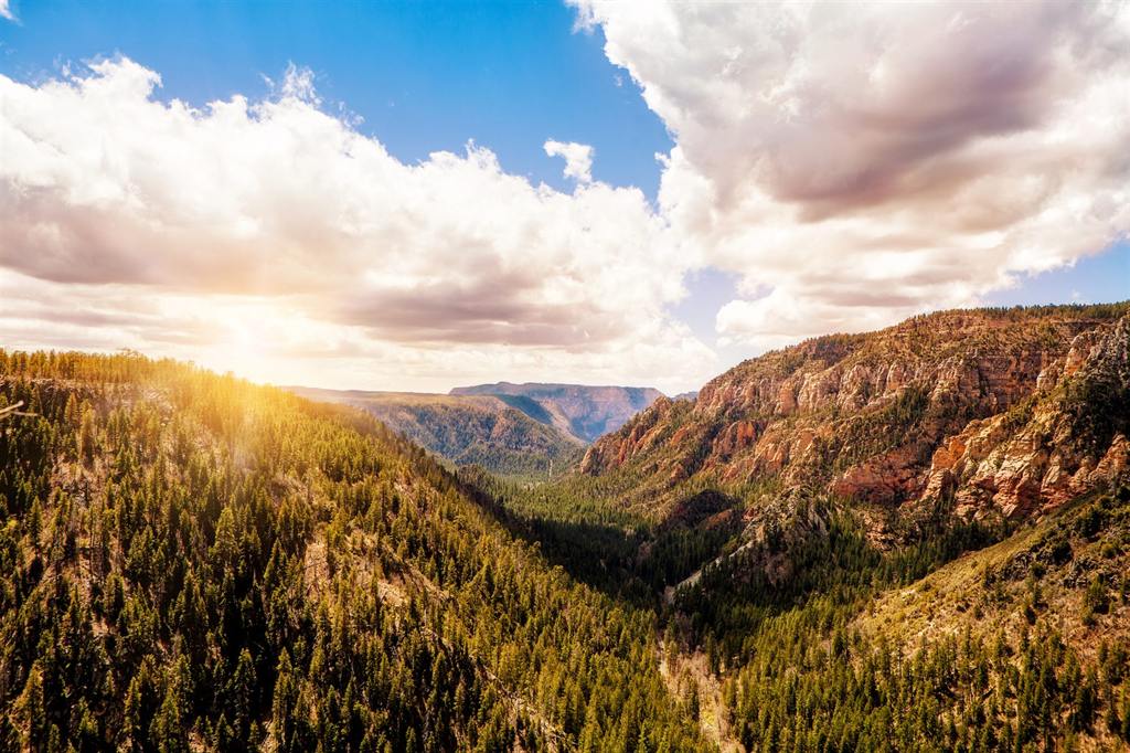 Sunrise over Oak Creek Canyon, looking down the forested canyon between Sedona and Flagstaff, Arizona