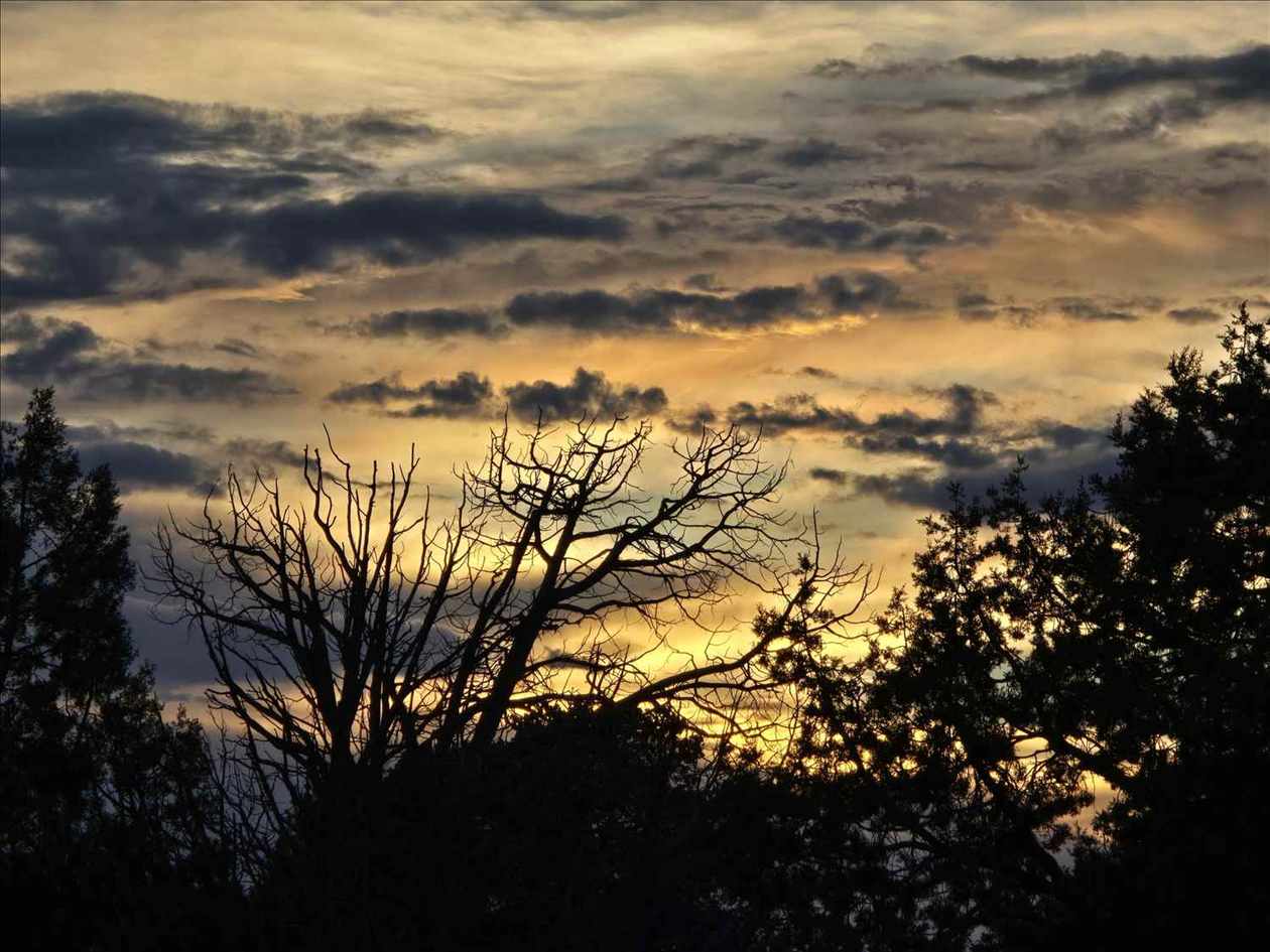 A dramatic Sedona sunset silhouetting the treeline